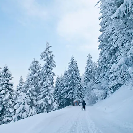 Whitepod Original Hotel 4*