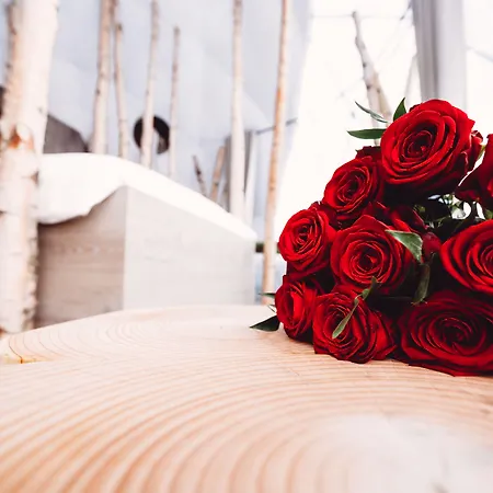 Whitepod Original Hotel