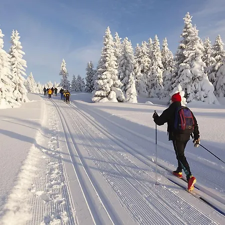 Whitepod Original Hotel 4*