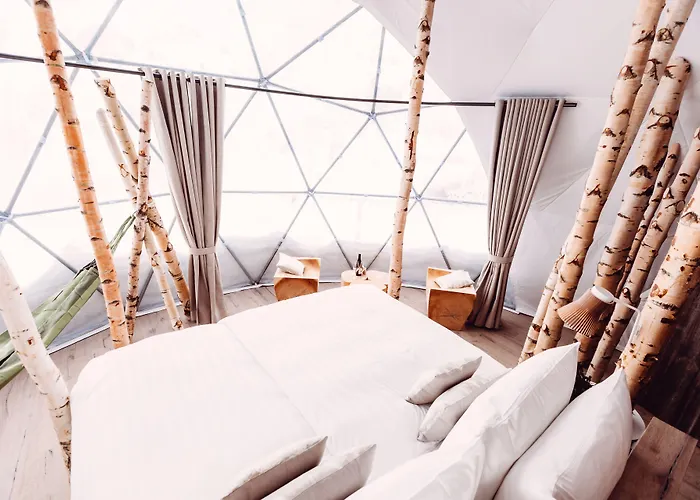 Whitepod Original 4* Monthey