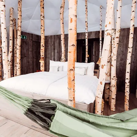 Whitepod Original 4* Monthey