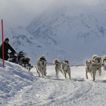 Whitepod Original 4*