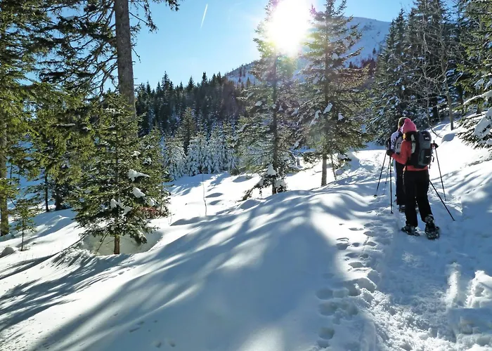 Whitepod Original Monthey