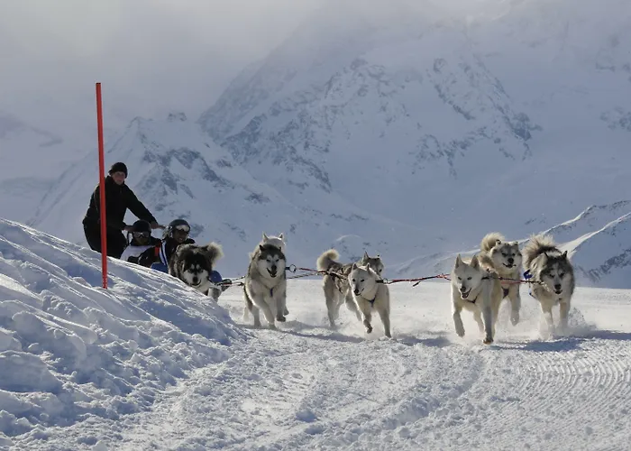 Whitepod Original 4*